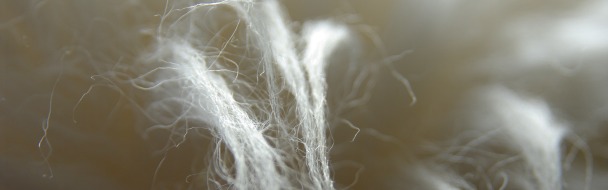 wool fiber image
